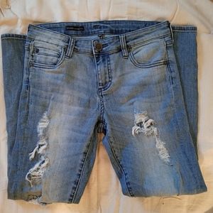 KUT Catherine Boyfriend Petite jeans